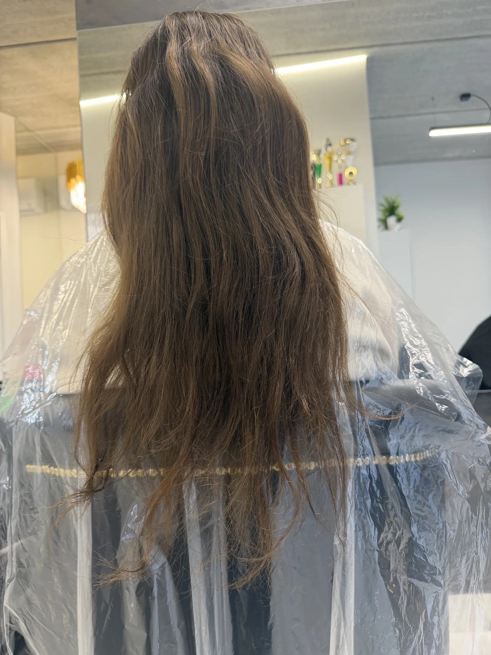 Ilgi, išsausėję ir nesuvaldomi plaukai prieš procedūrą